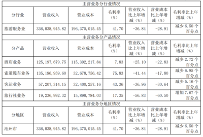 疫情沖擊下的九華旅游 2020年營收銳減，旅游服務業面臨嚴峻挑戰