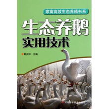 生態養鵝實用技術 家禽高效生態養殖書系指南